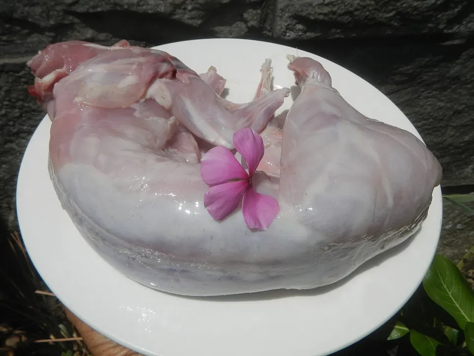 兔肉, photo 1 of 1