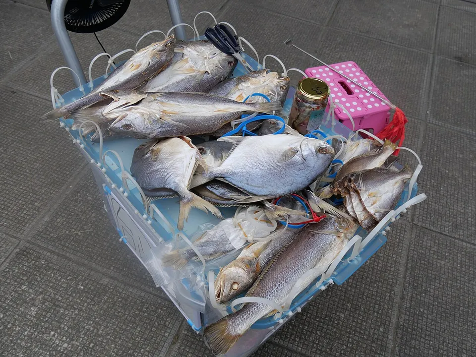 咸鱼, photo 2 of 3