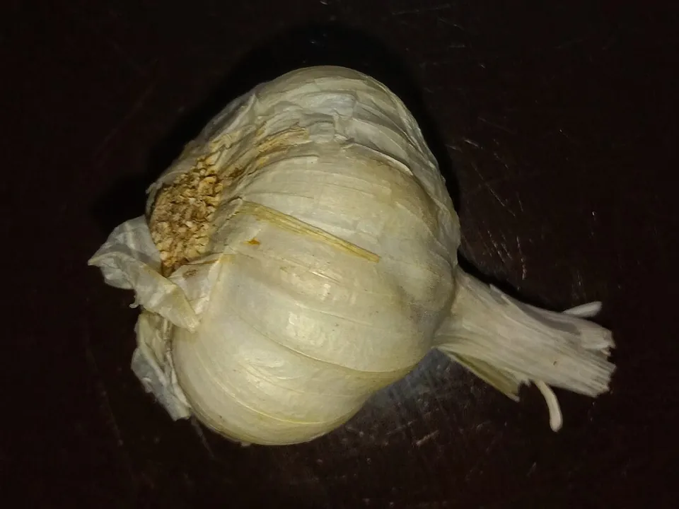 大蒜, photo 3 of 3