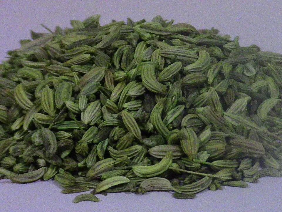 小茴香, photo 3 of 3