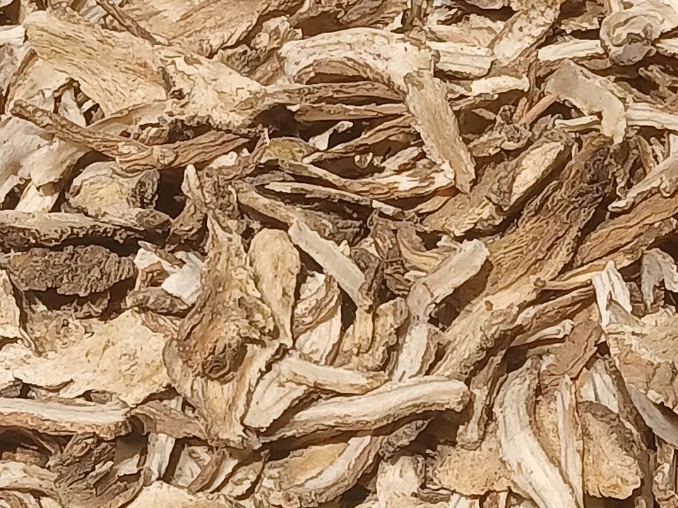 当归, photo 1 of 2