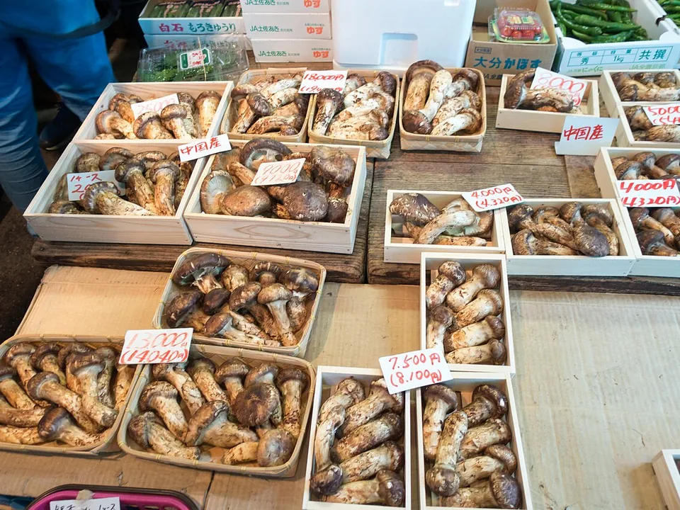 松茸, photo 3 of 3