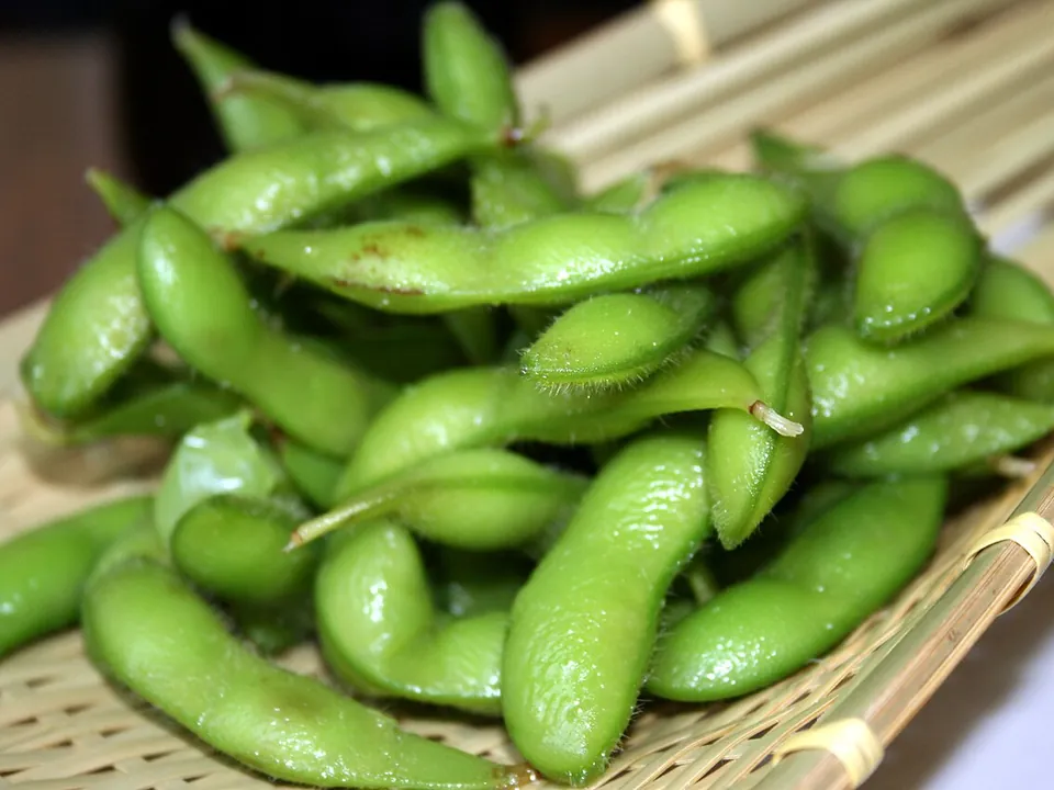 毛豆, photo 1 of 3