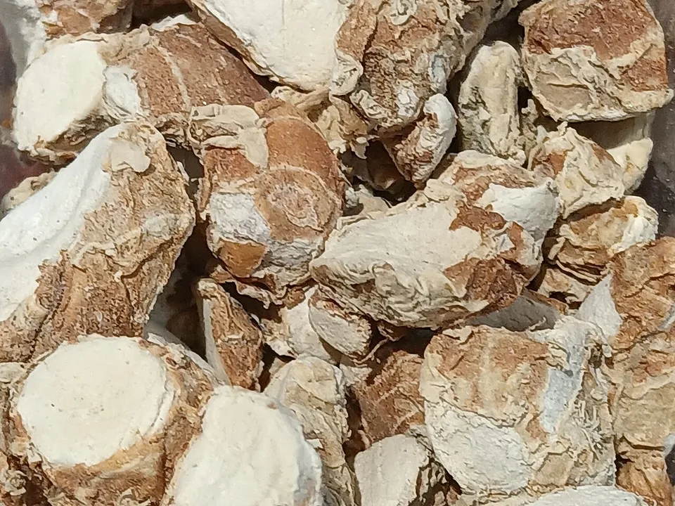沙姜, photo 2 of 2