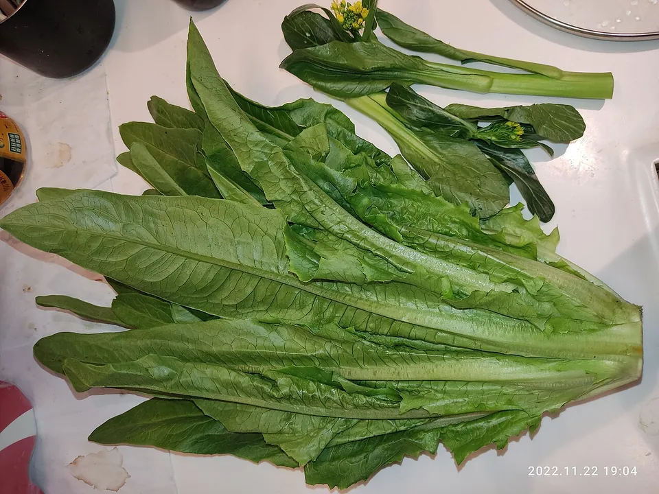 油麦菜, photo 2 of 3