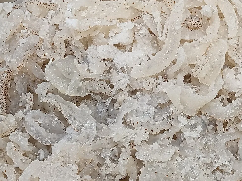 海蜇, photo 1 of 3