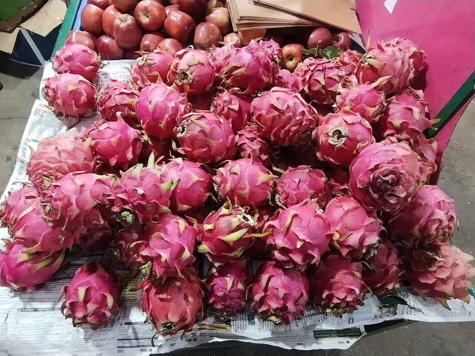 火龙果, photo 2 of 3