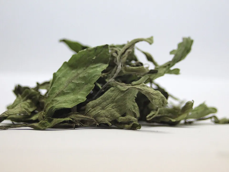 甜菊糖, photo 1 of 1