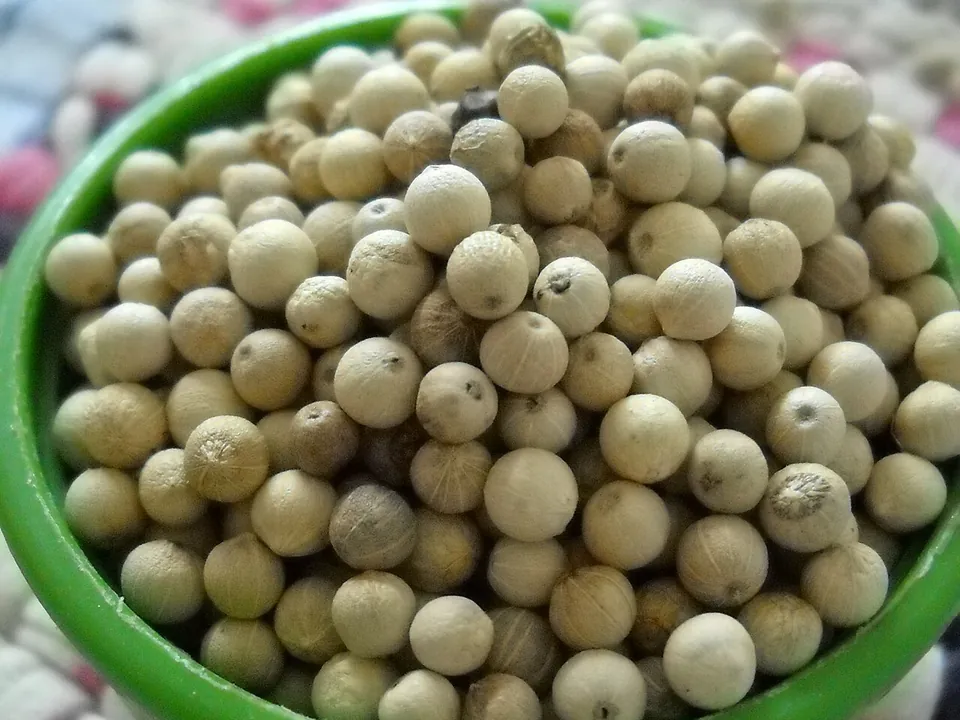 白胡椒, photo 1 of 3