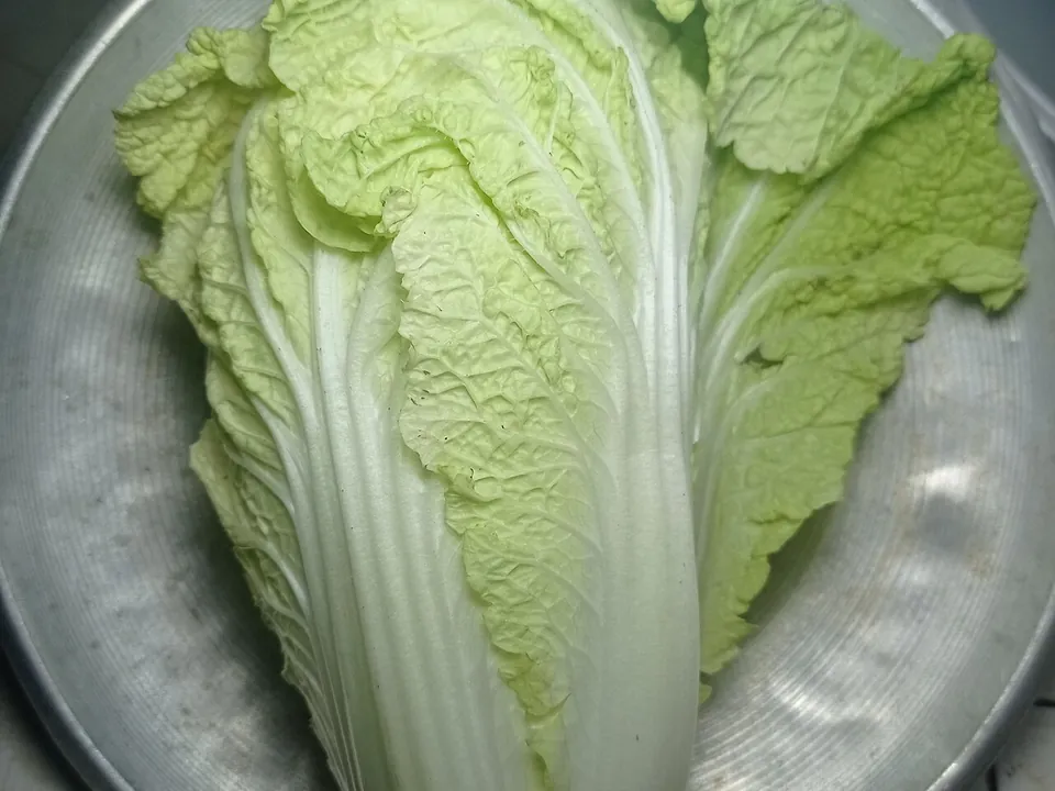 白菜, photo 1 of 3