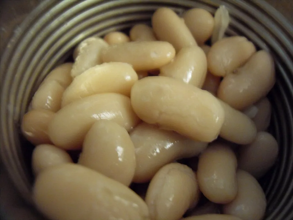白豆, photo 1 of 2