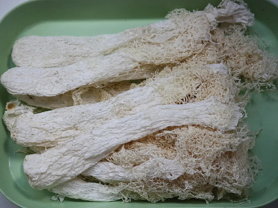 竹荪, photo 1 of 3