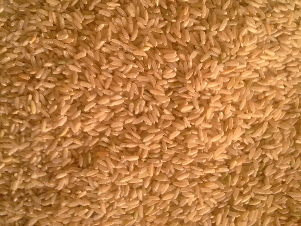 糙米, photo 3 of 3