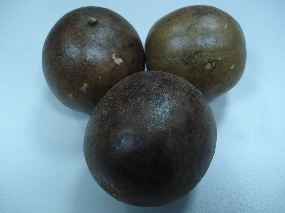 罗汉果, photo 1 of 3