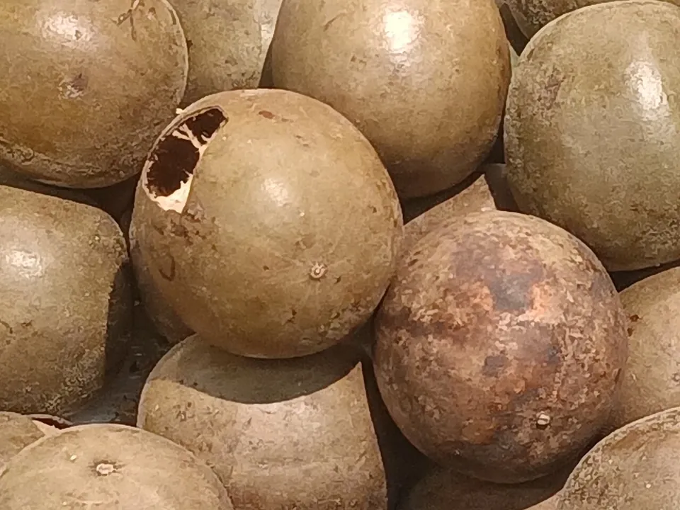 罗汉果, photo 3 of 3