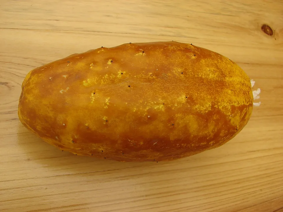 老黄瓜, photo 1 of 1