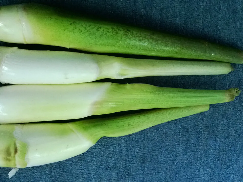 茭白, photo 2 of 3