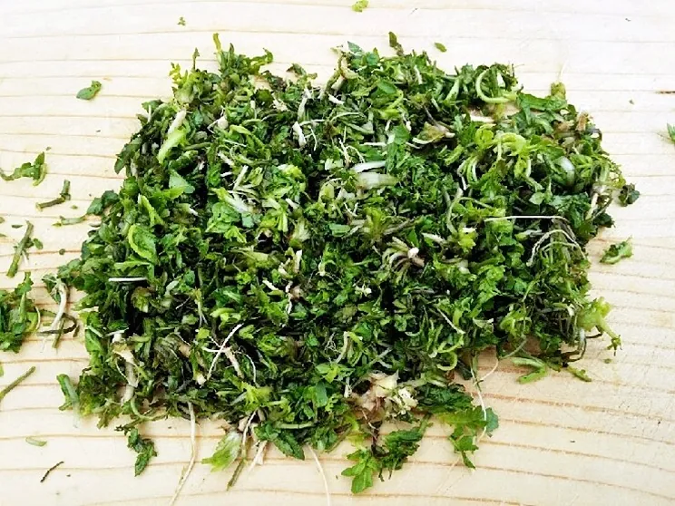 荠菜, photo 2 of 3