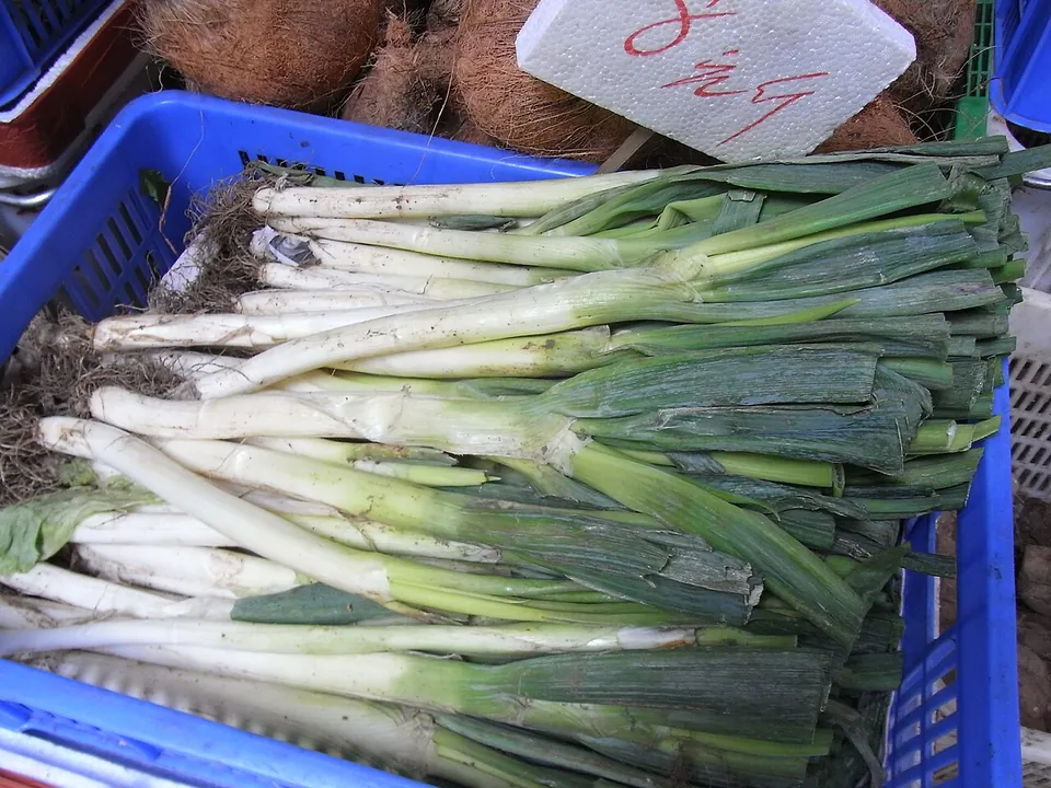 葱, photo 2 of 3