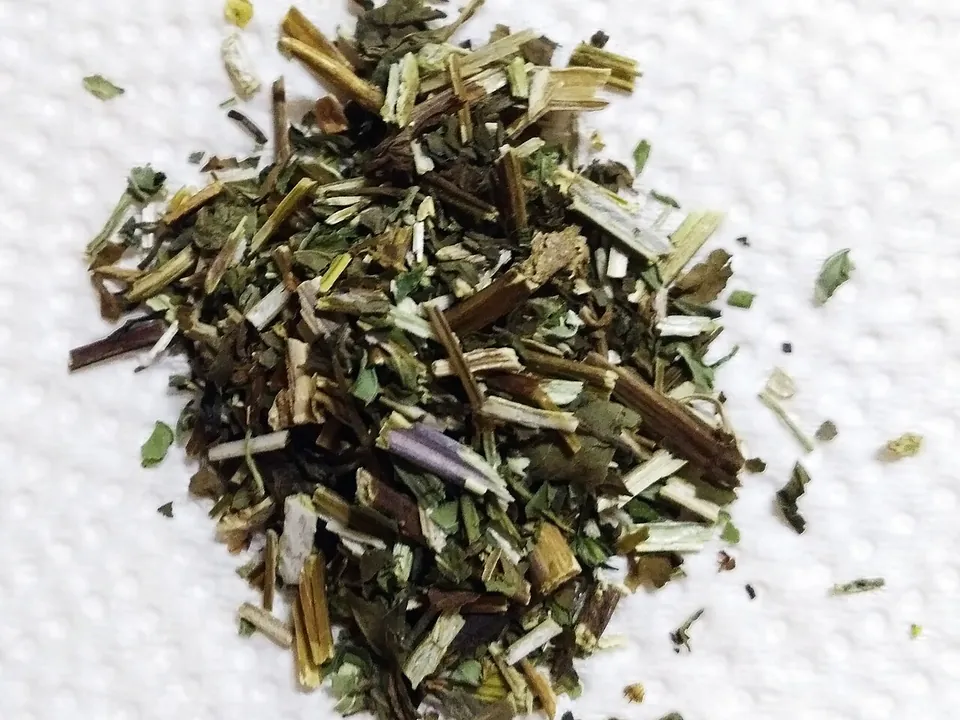 薄荷, photo 3 of 3