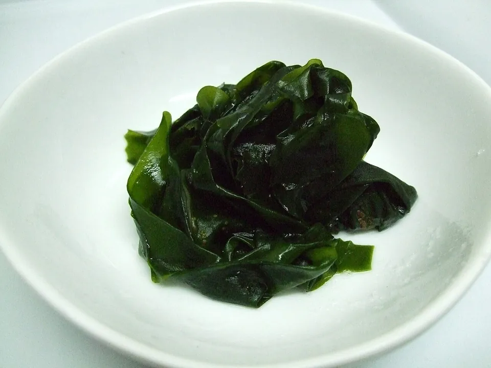 裙带菜, photo 1 of 3