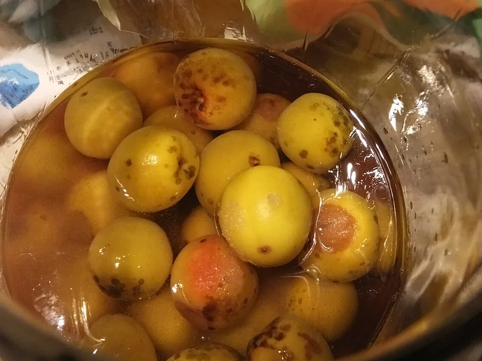 青梅, photo 2 of 2