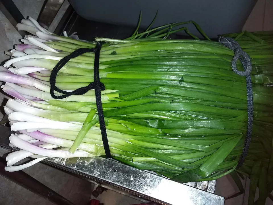 韭菜, photo 2 of 2