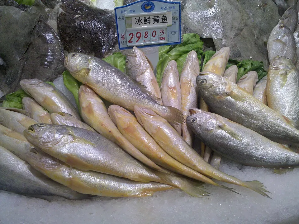 黄鱼, photo 2 of 2