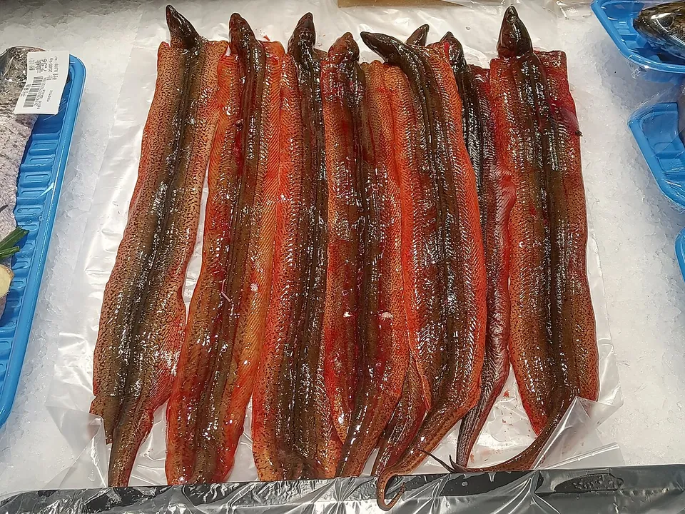 黄鳝, photo 2 of 3