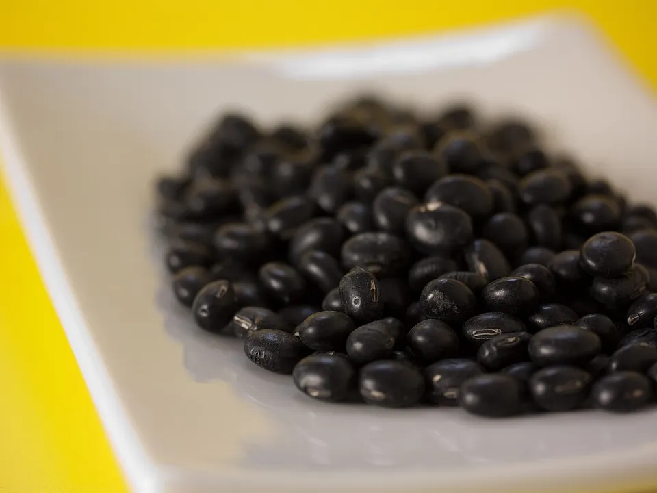 黑豆, photo 3 of 3