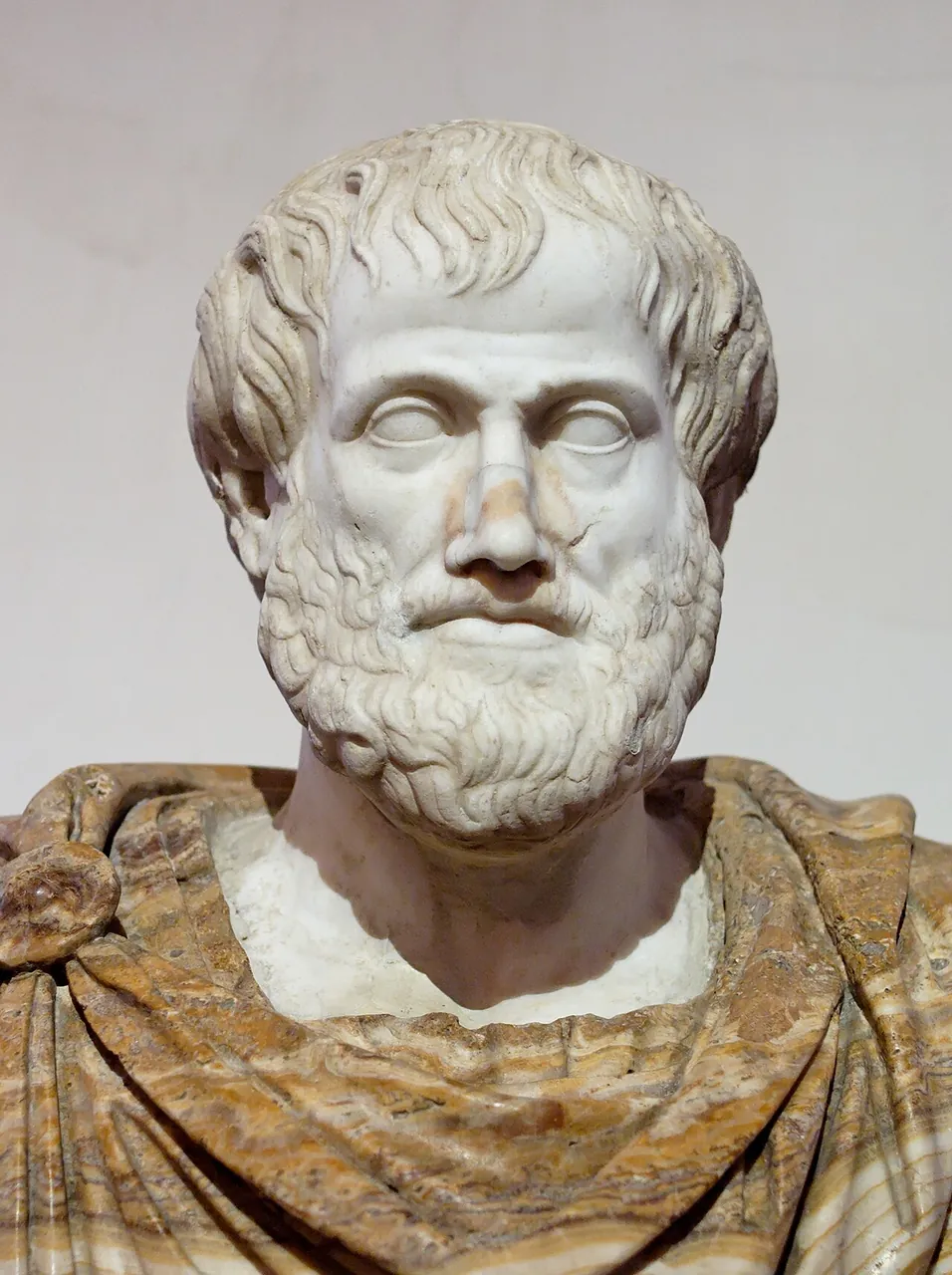 Aristotle, photo 2 of 2