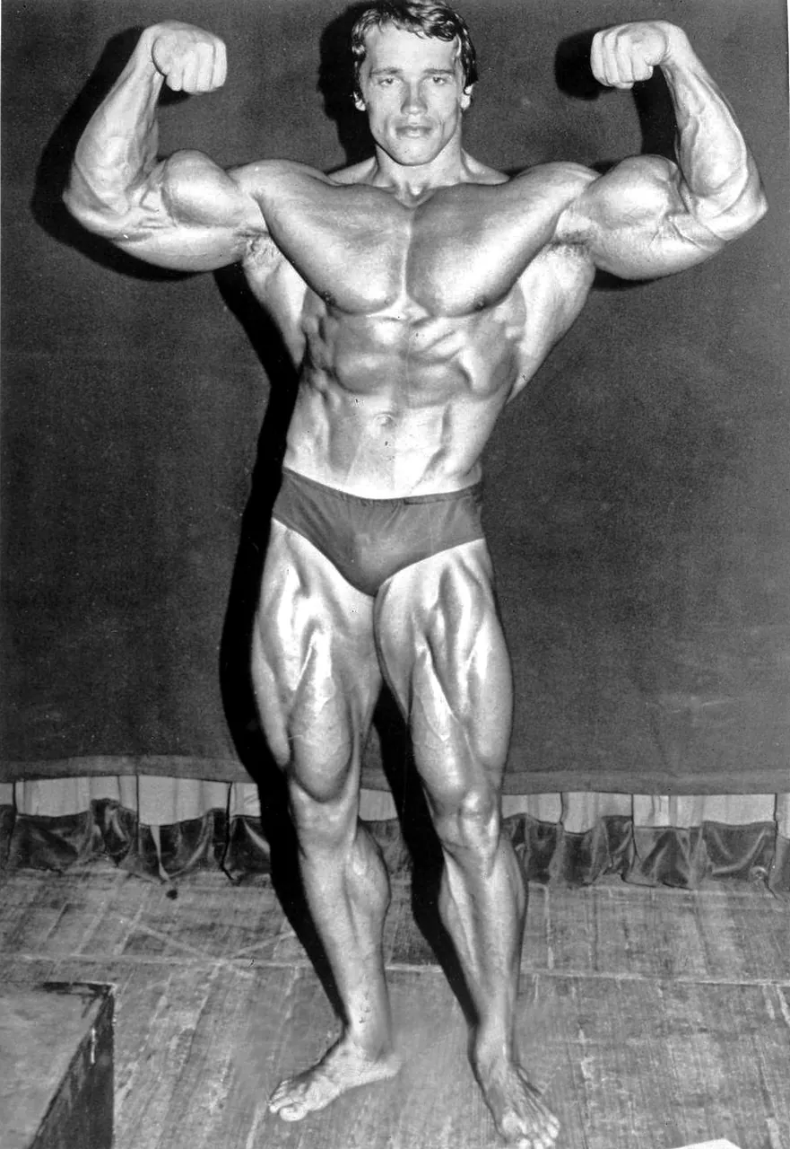 Arnold Schwarzenegger, photo 2 of 3