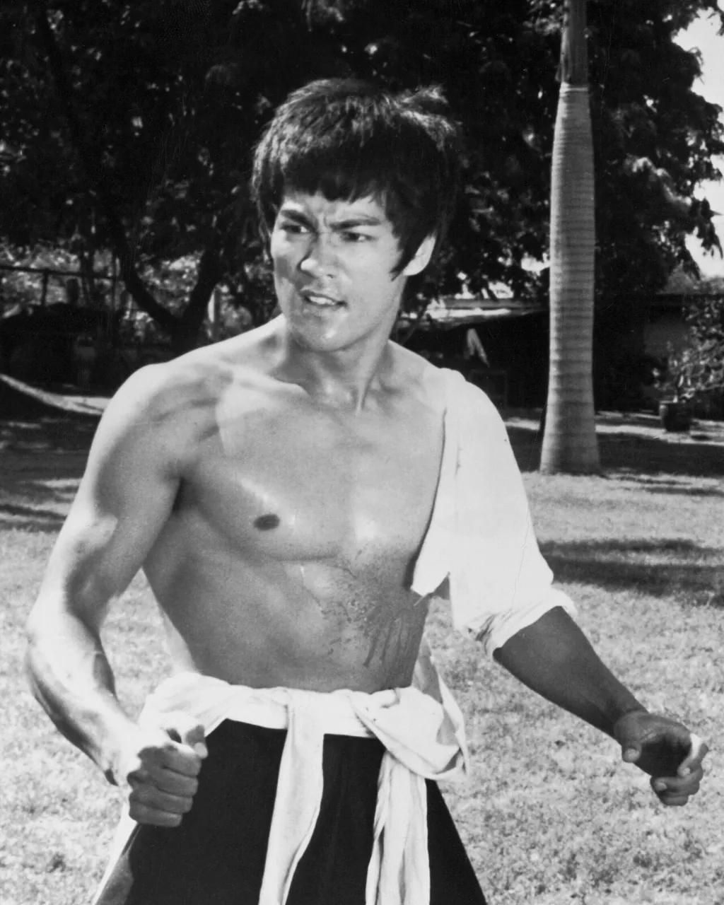 Bruce Lee, photo 3 of 3