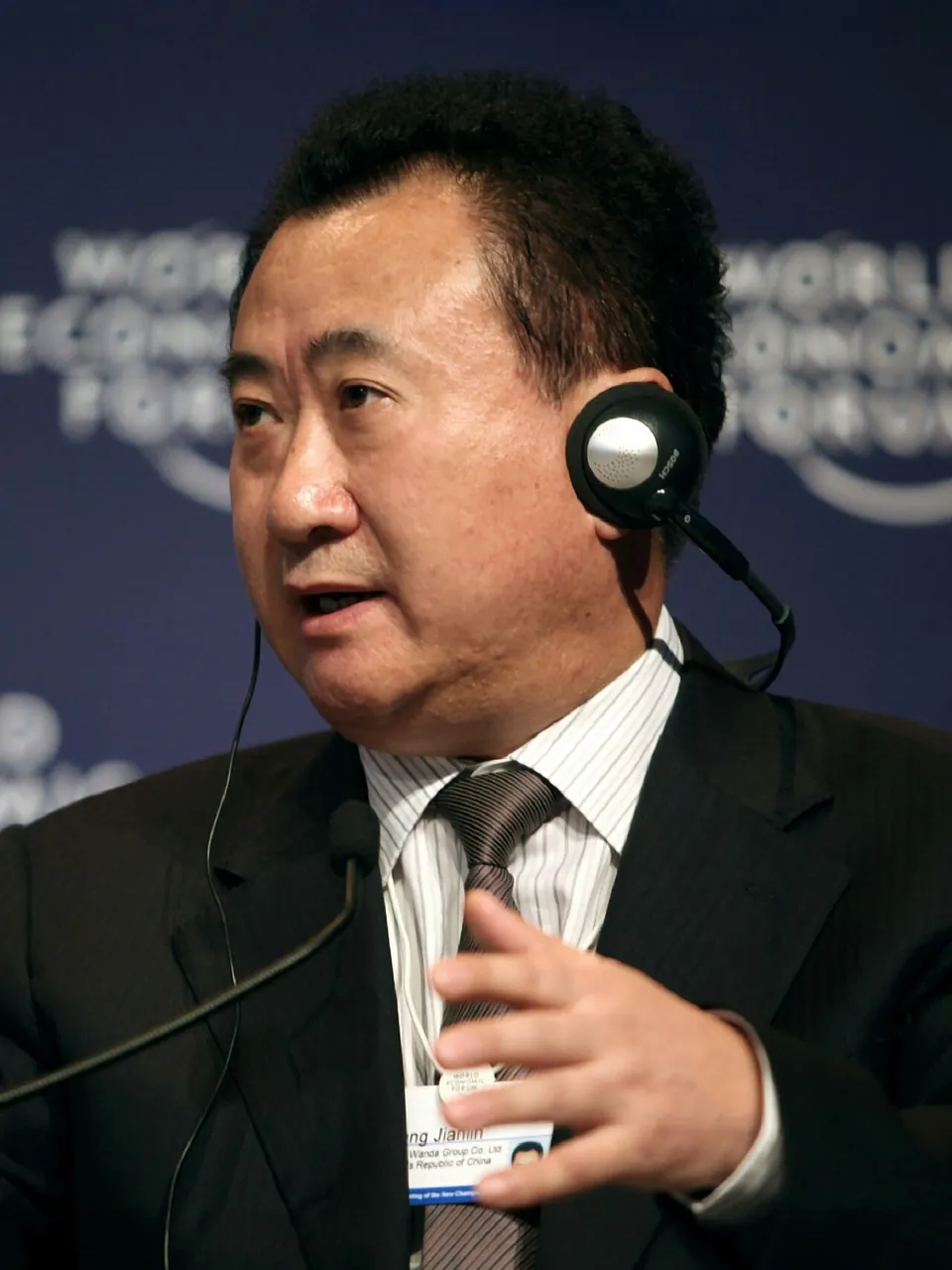 Wang Jianlin, photo 1 of 1