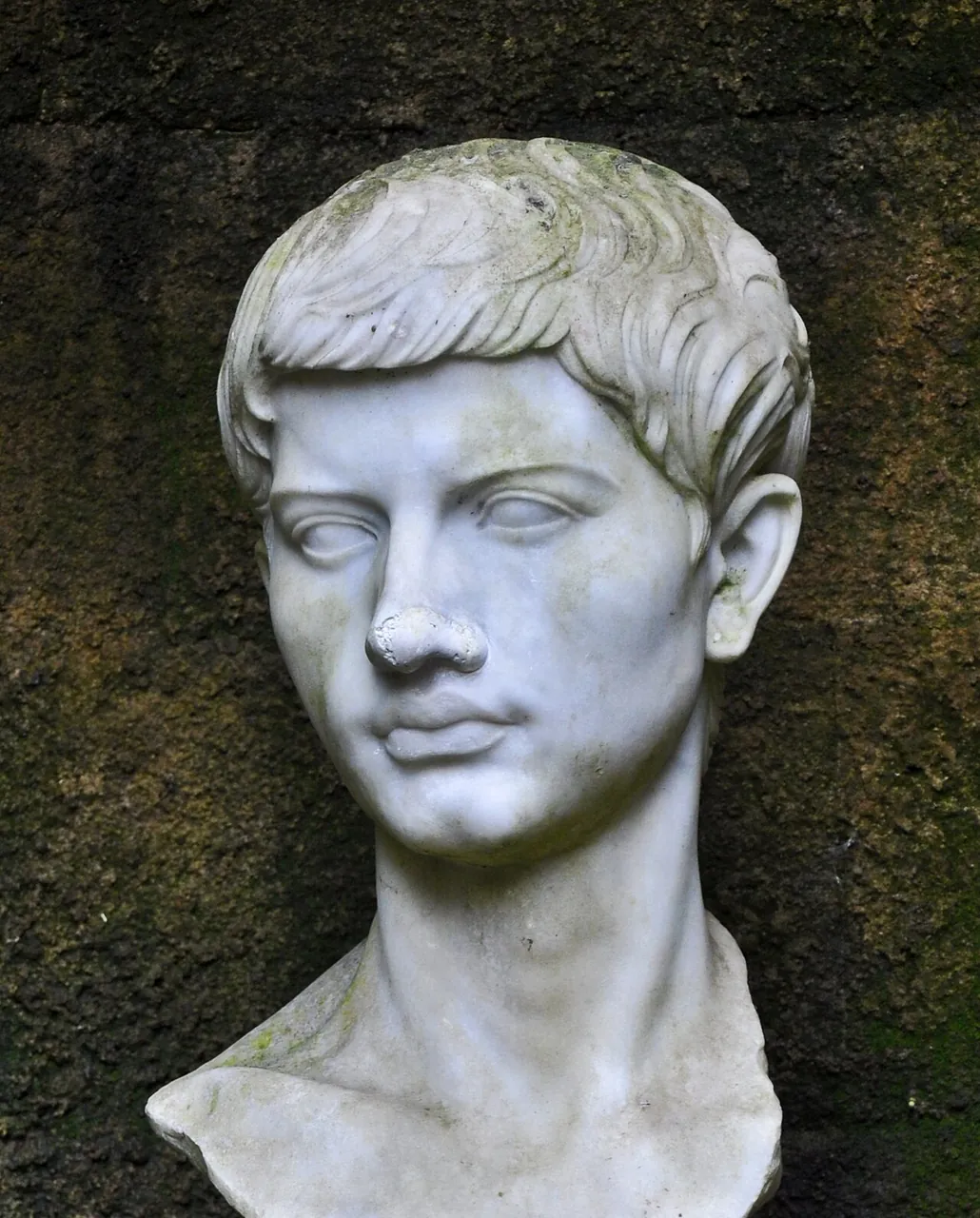 Virgil, photo 1 of 1